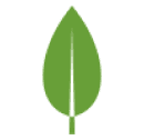 MongoDB